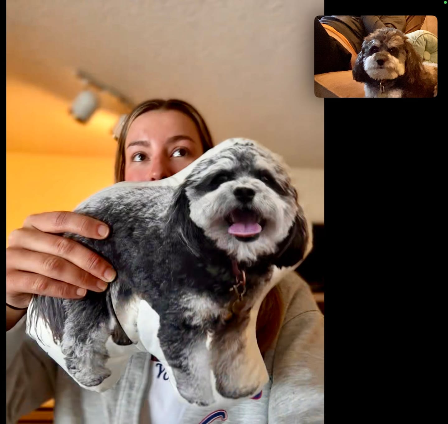 Customer photo review of Pet Pillow Looks Like Your Pet, Customize Dog Shaped Pillow with Pet Photo - ThePetPillow