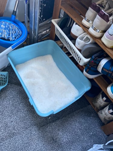 Customer photo review of 1 Month Supply – 1 Cat