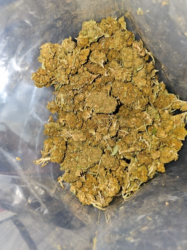 Customer photo review of THCA Flower Budget Buds