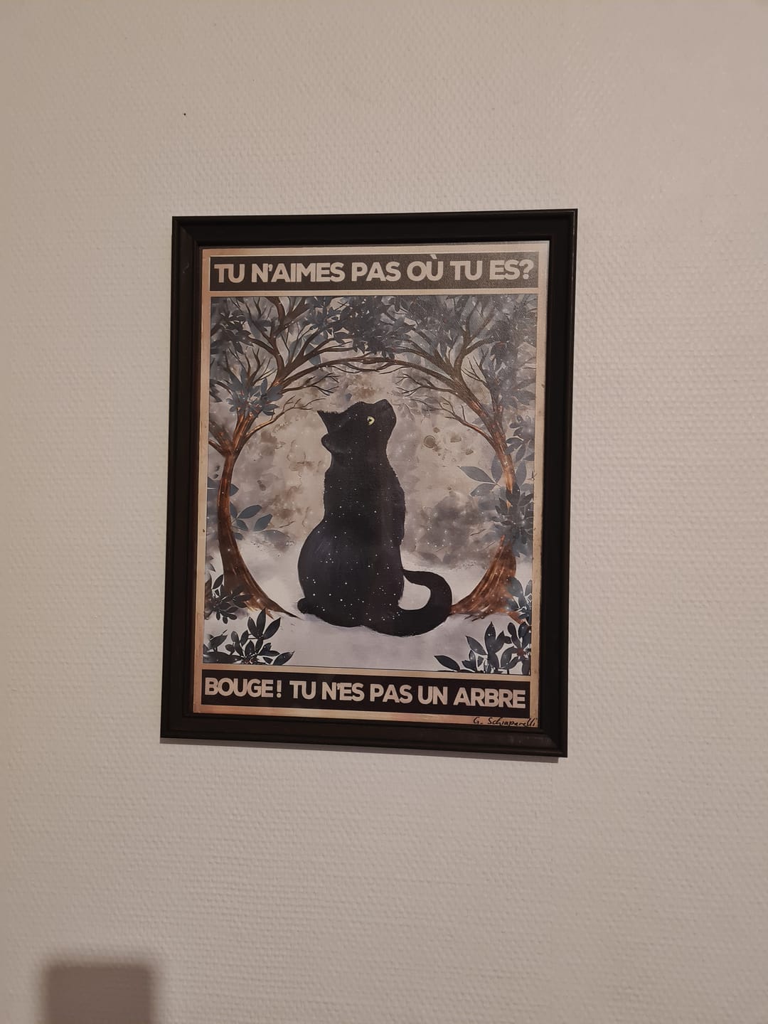 Customer photo review of Tu n'aimes pas où tu es? Bouge! Tu n'es pas un arbre