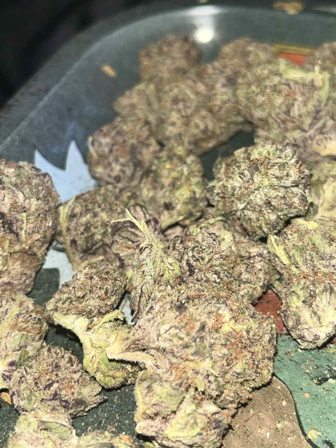 Customer photo review of Exotic Smalls