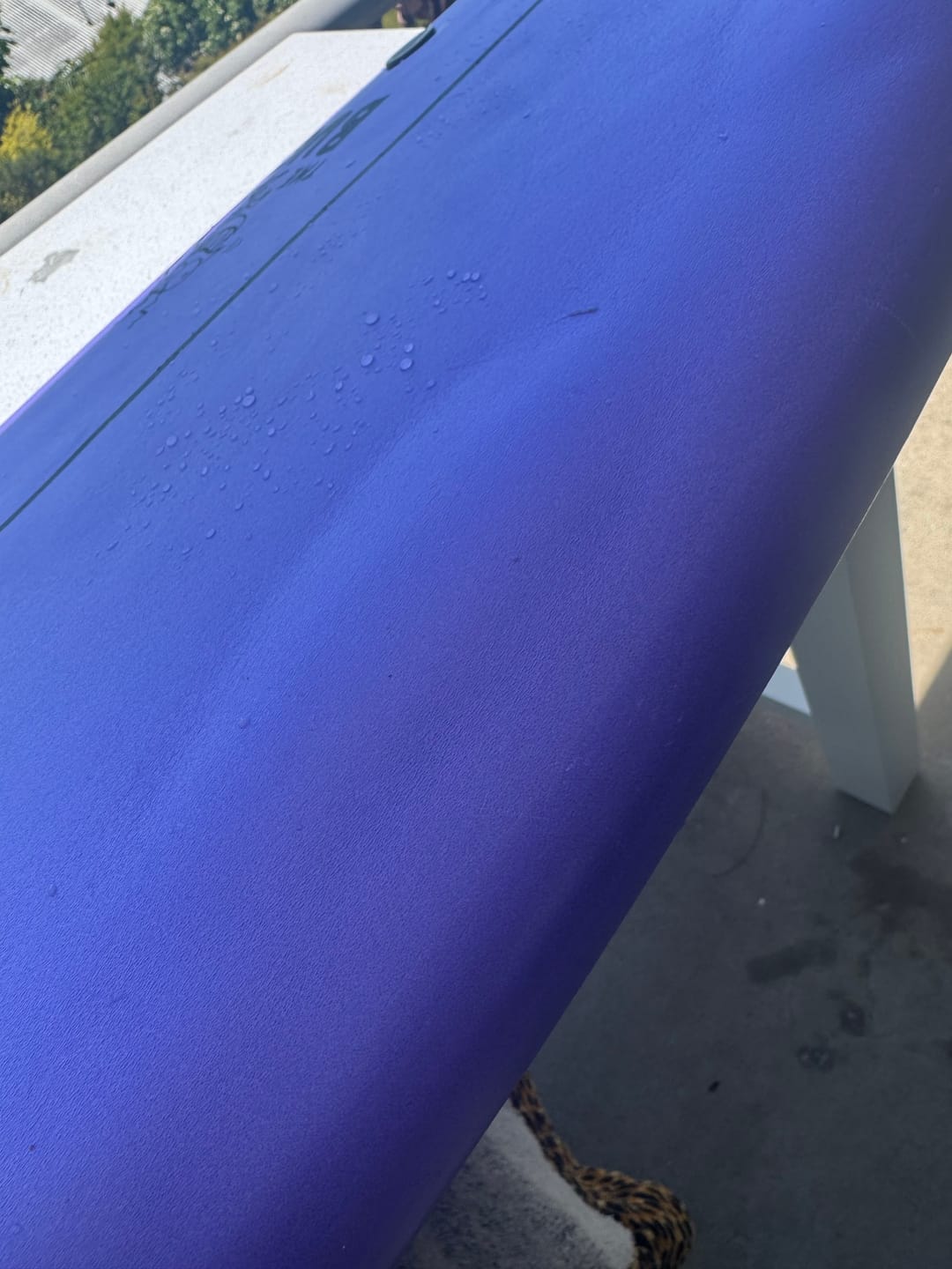 Customer photo review of THE BUG SOFTBOARD - 4'0