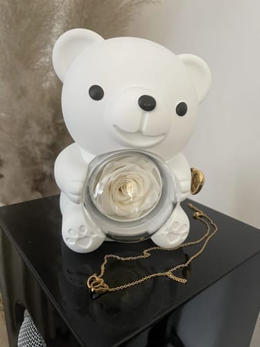 Customer photo review of Ewige Rose Bär Geschenkbox Mit Gravierter Herz Halskette - Kostenlose Ohrringe