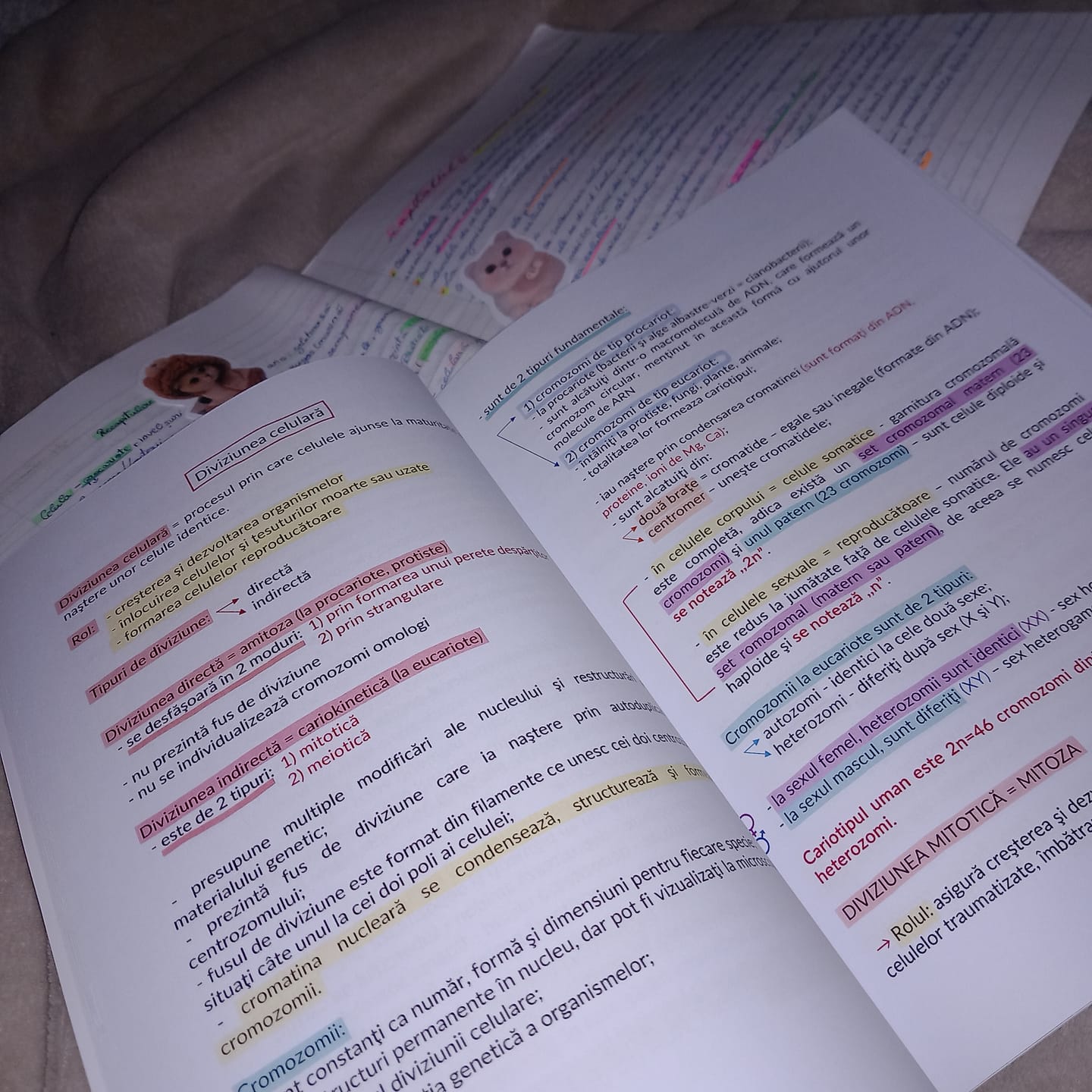 Customer photo review of Carte Biologie Vegetală și Animală Bacalaureat (clasele IX-X) Bacademia