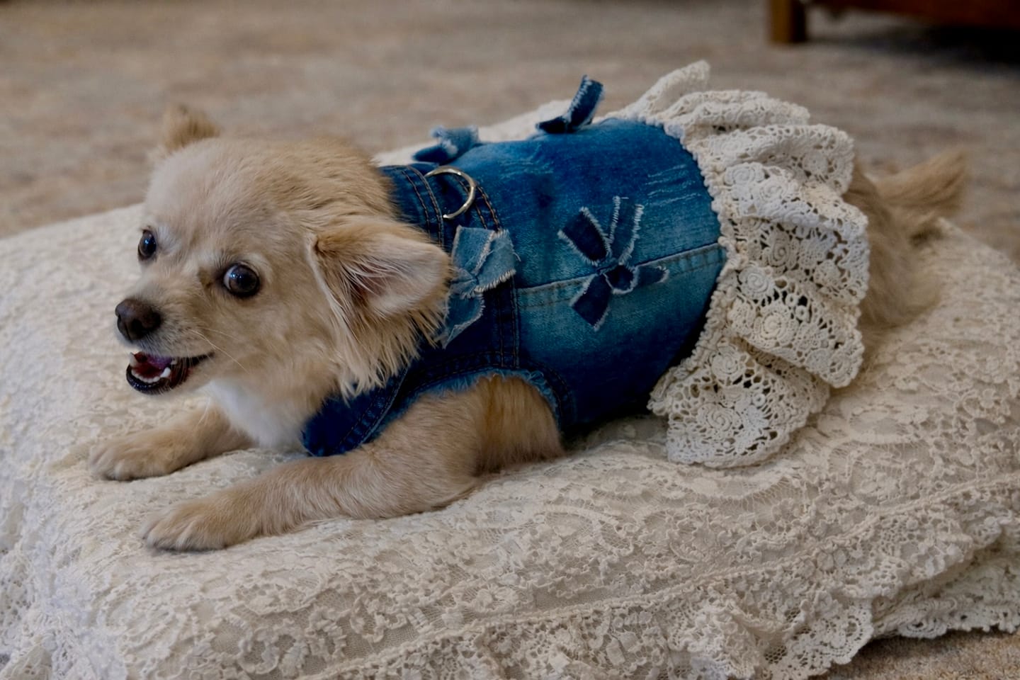 Customer photo review of Denim Bow Vest