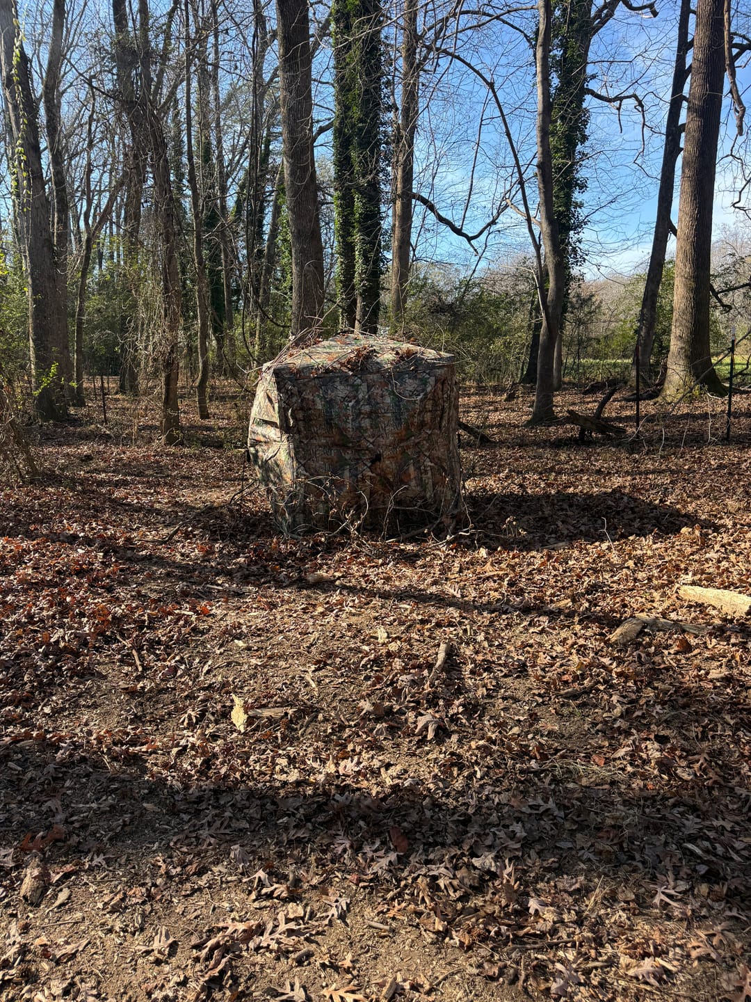 Customer photo review of VisX See Through 300D Hunting Blind 2-3 Person Pop Up Ground Deer Blind