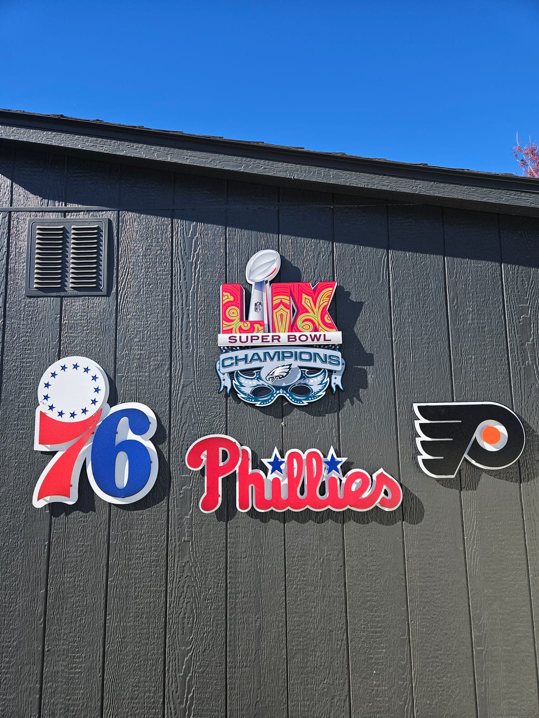 Customer photo review of Philadelphia Eagles Super Bowl LIX CHAMPIONS! 3D Metal Wall Art