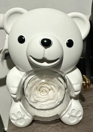 Customer photo review of Ewige Rose Bär Geschenkbox Mit Gravierter Herz Halskette - Kostenlose Ohrringe