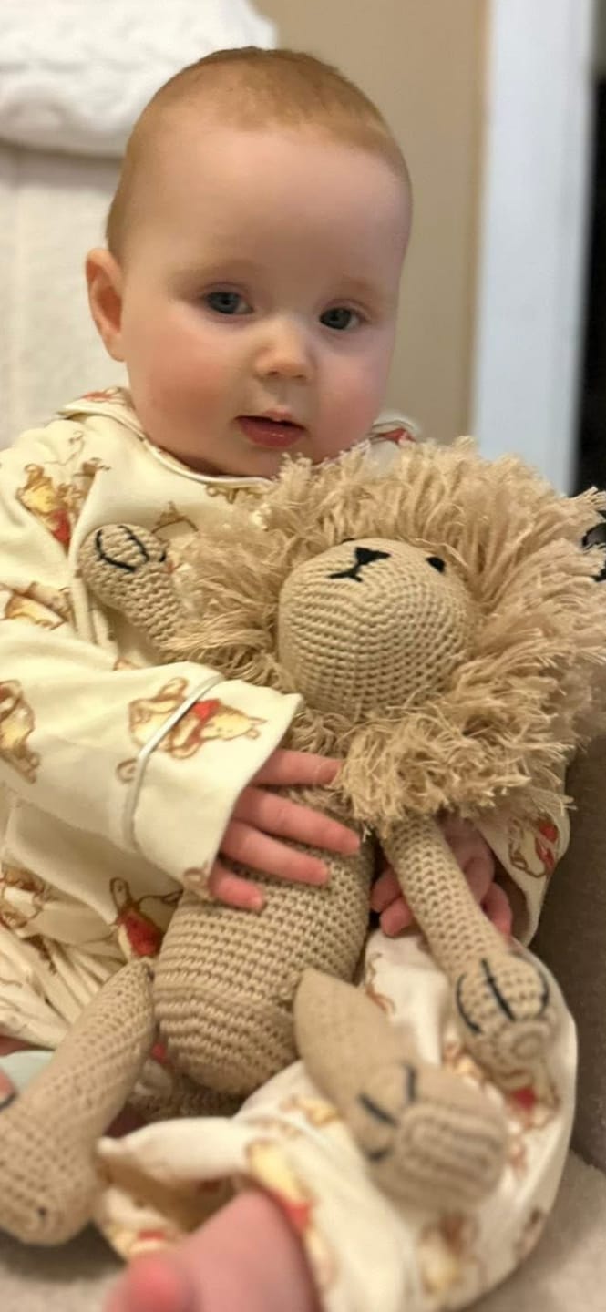 Customer photo review of Leo the Lion Crochet Toy