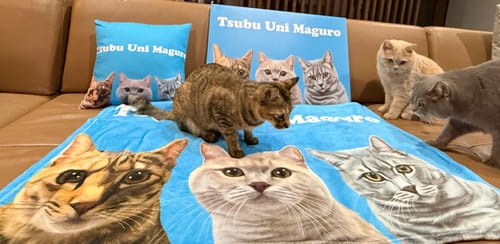 Customer photo review of Petcanva©オーダーメイド ペット似顔絵【3点セット】