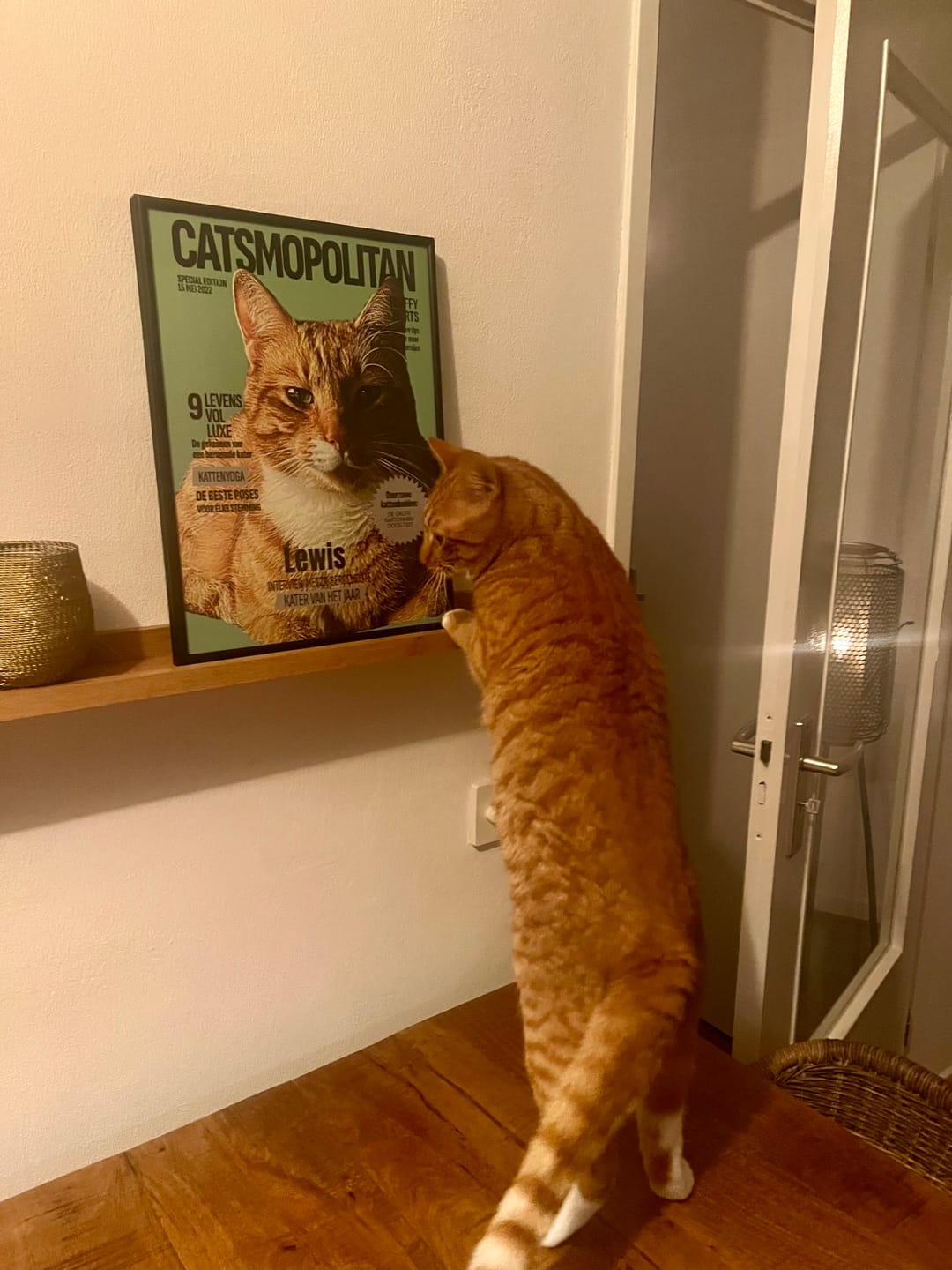 Customer photo review of Catsmopolitan - Gepersonaliseerde Poster