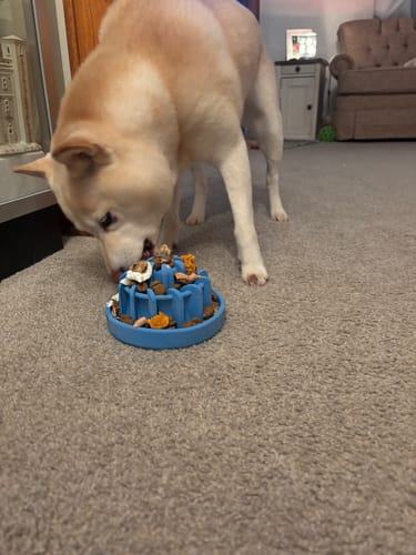 Customer photo review of Freezball - Durable Fillable Dog Chew Bone
