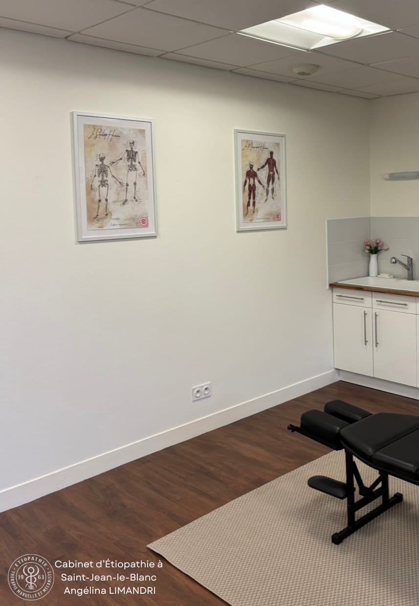 Customer photo review of Pack planches anatomiques basiques