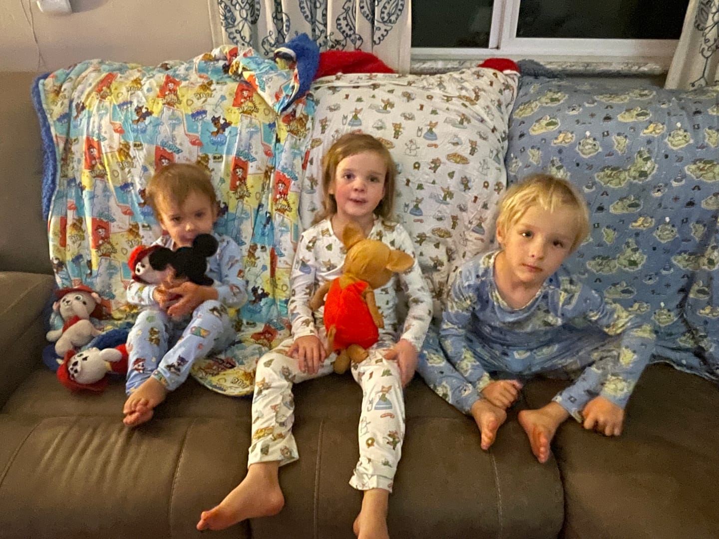 Customer photo review of PAW Patrol: Comic Boy Pups Bamboo Sherpa Blanket