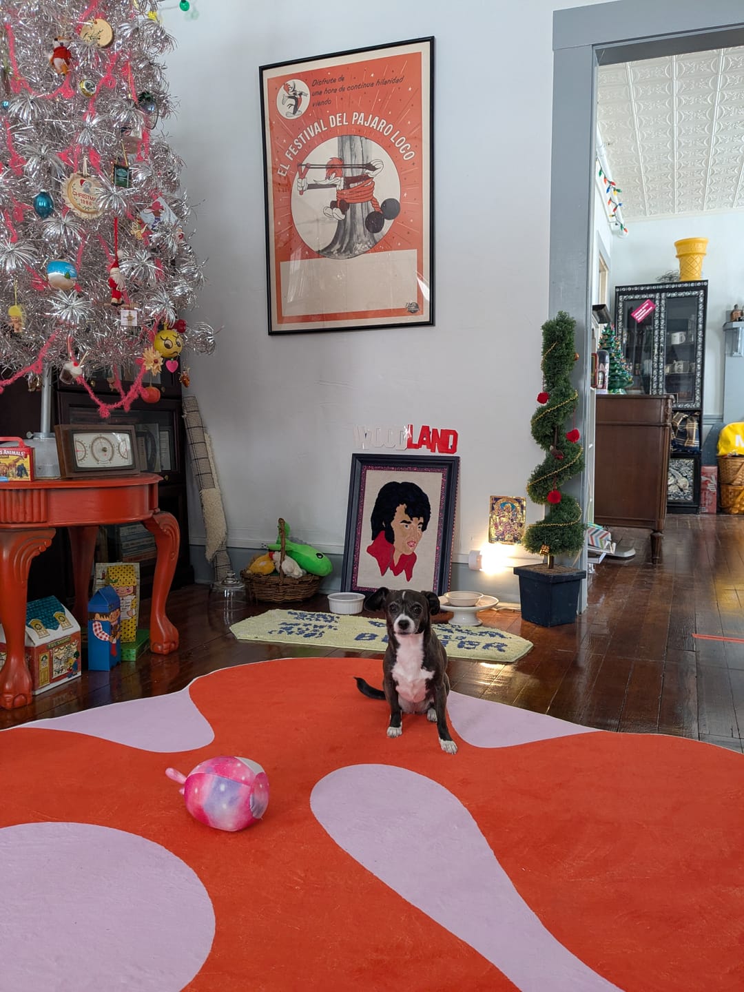 Customer photo review of Irregular Orange Moss Design Rug by Johann Banta