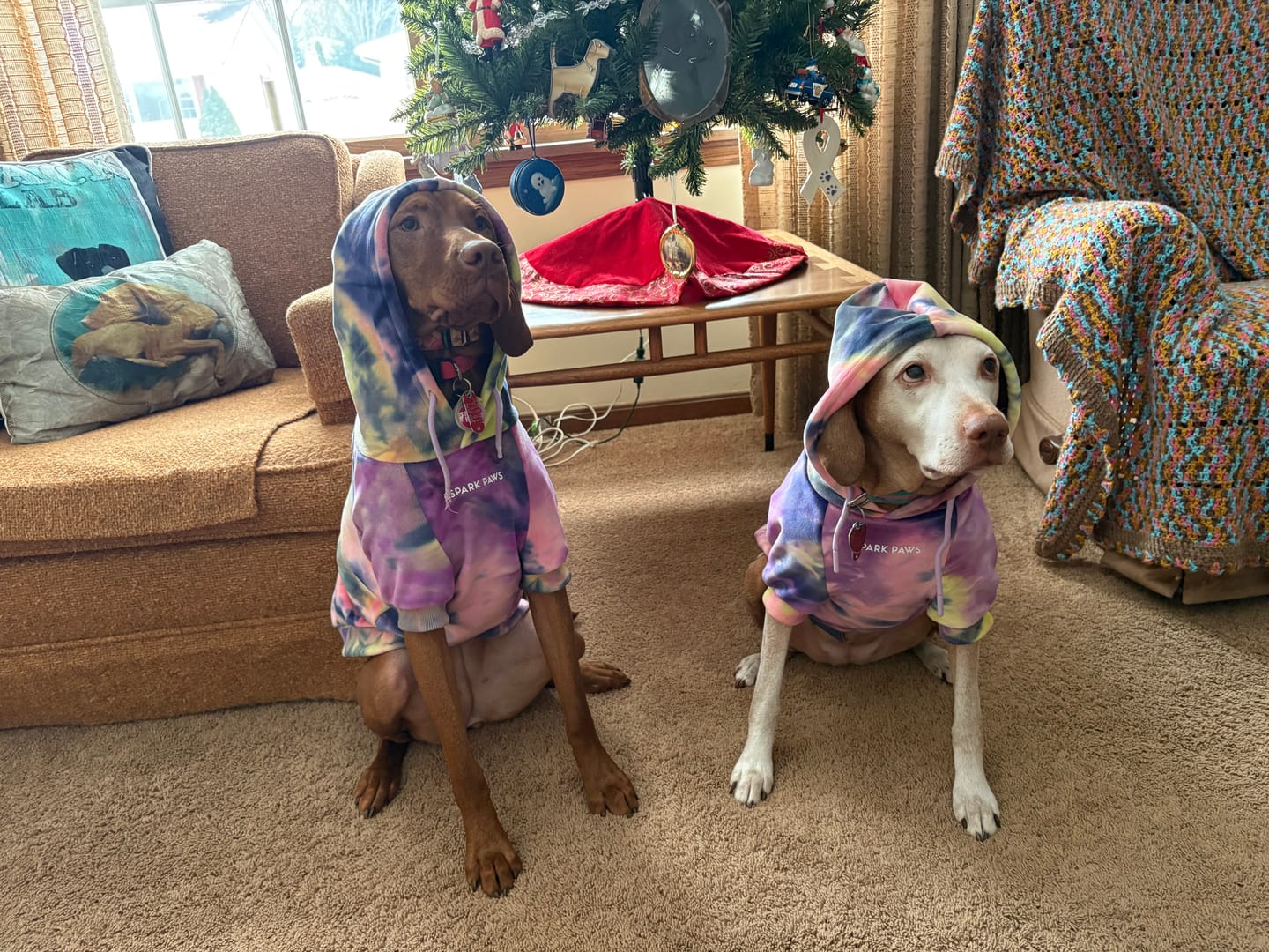 Customer photo review of Velvet Human Hoodies