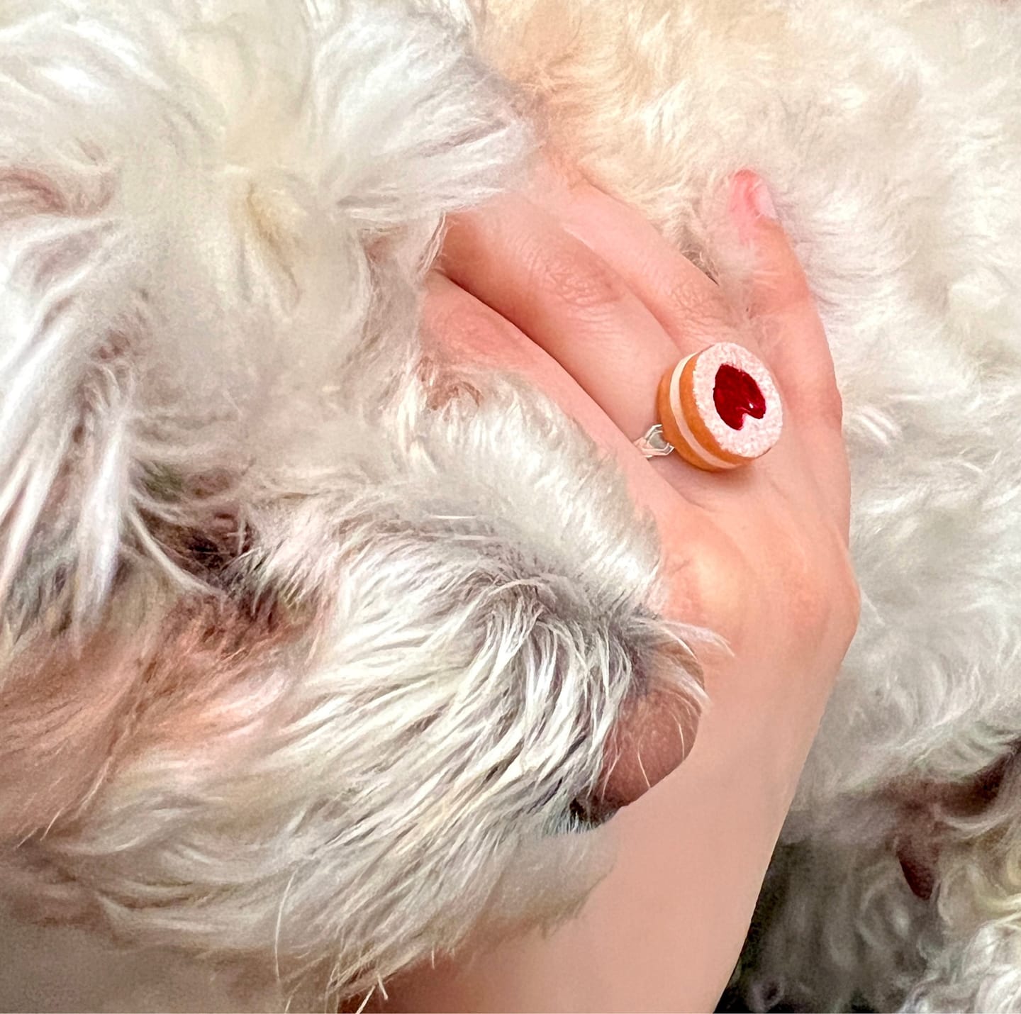Customer photo review of Scented Shortcake Heart Cookie Ring