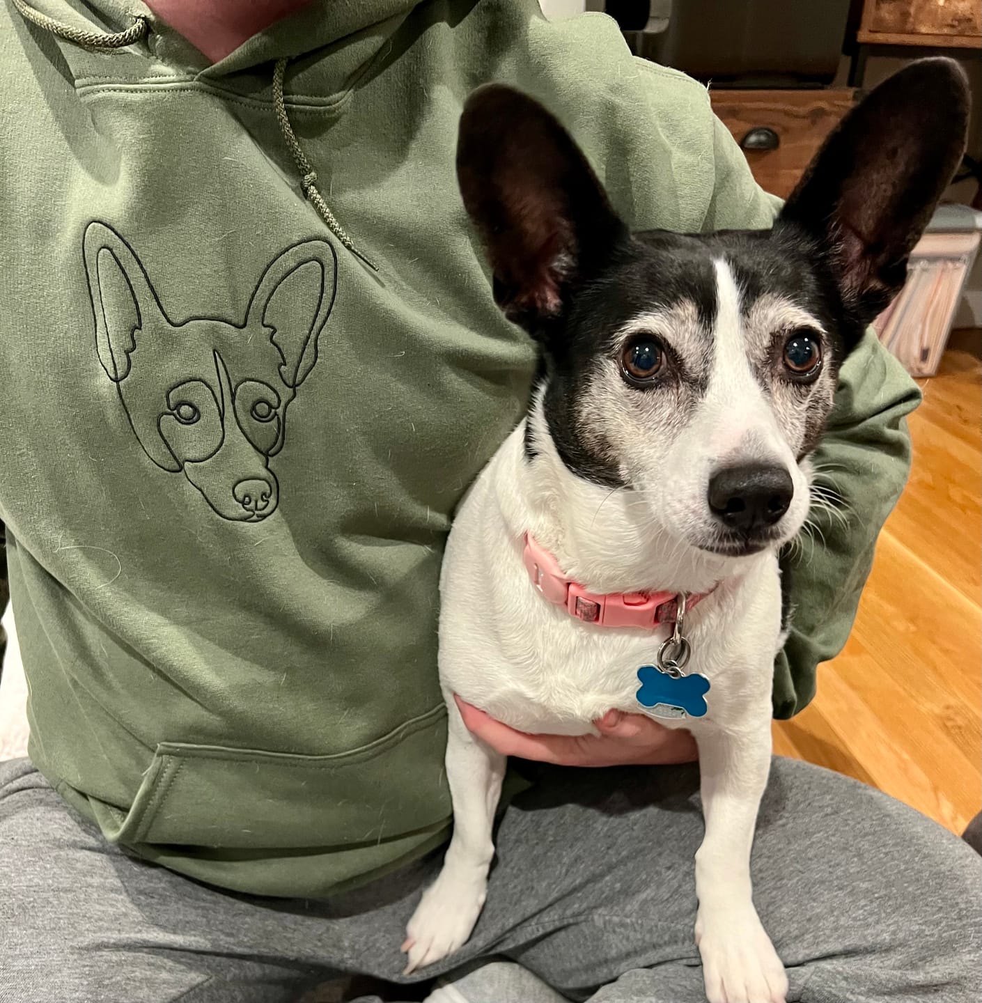 Customer photo review of Custom Embroidered Hoodie