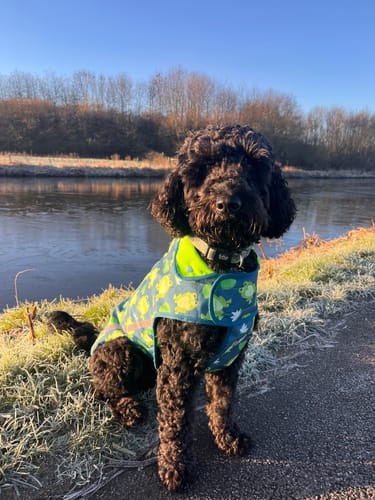 Customer photo review of Rain Jacket - Frogging Fabulous