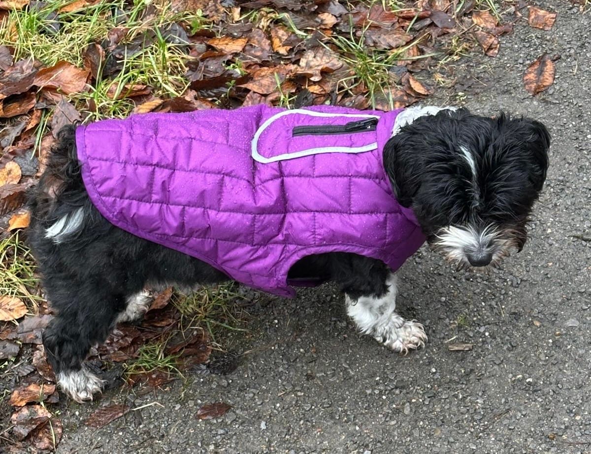 Customer photo review of Emmalove - Wasserdichte Hundeweste