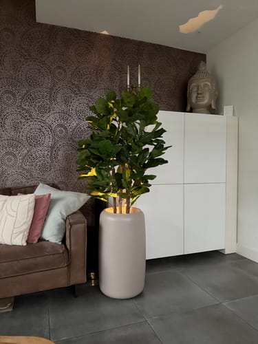 Customer photo review of Ficus Kunstplant 120cm