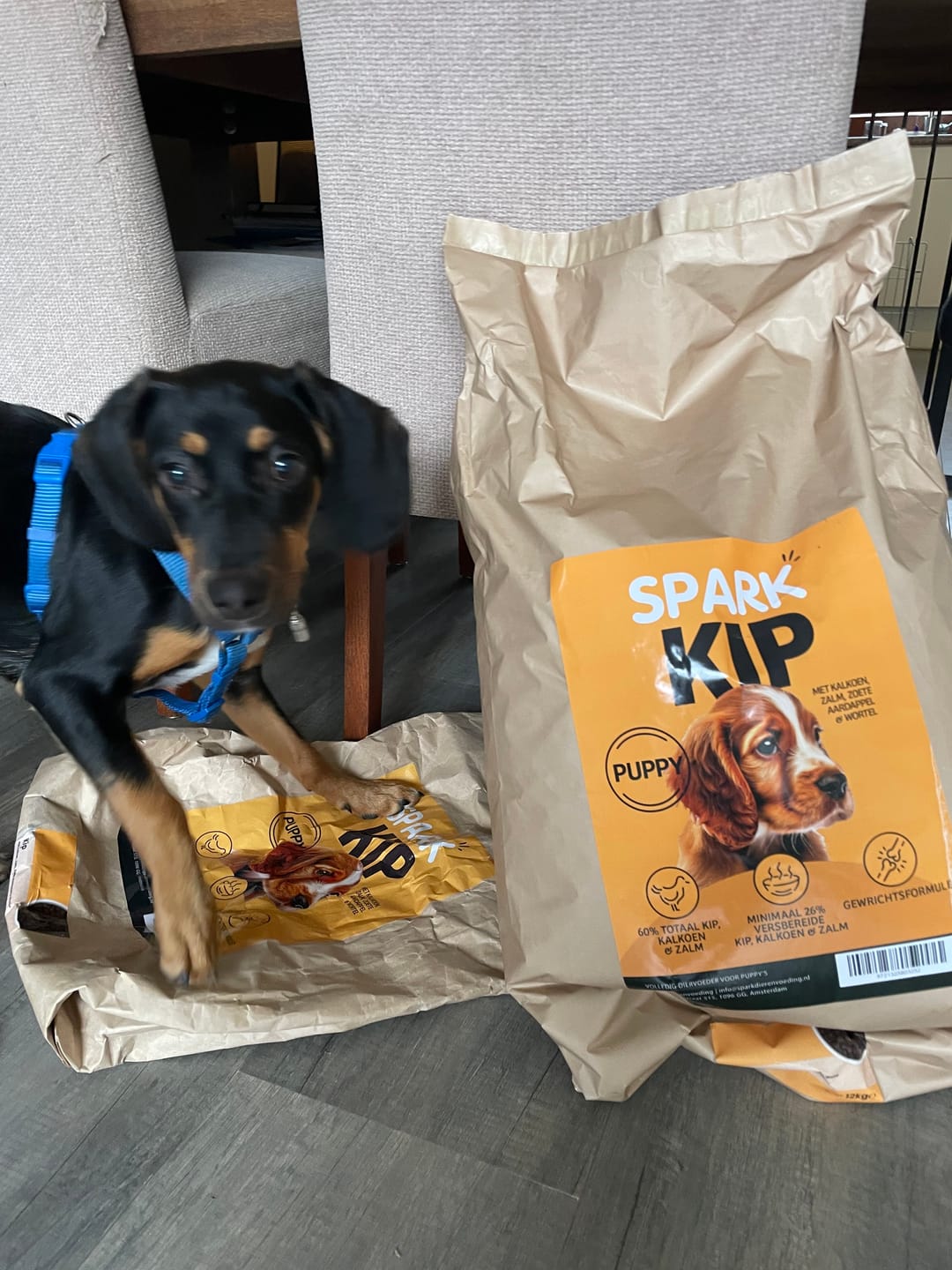 Customer photo review of Puppy - Kip met Kalkoen, Zalm, Zoete Aardappel & Wortel