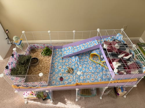 Customer photo review of Set of 2 Fleece Liners | Daisy