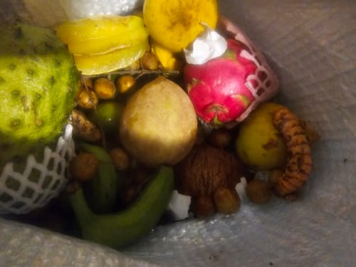 Customer photo review of Tropical Variety Box