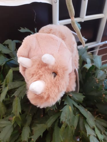Customer photo review of Triceratops 27 cm – beige | Teddykompaniet