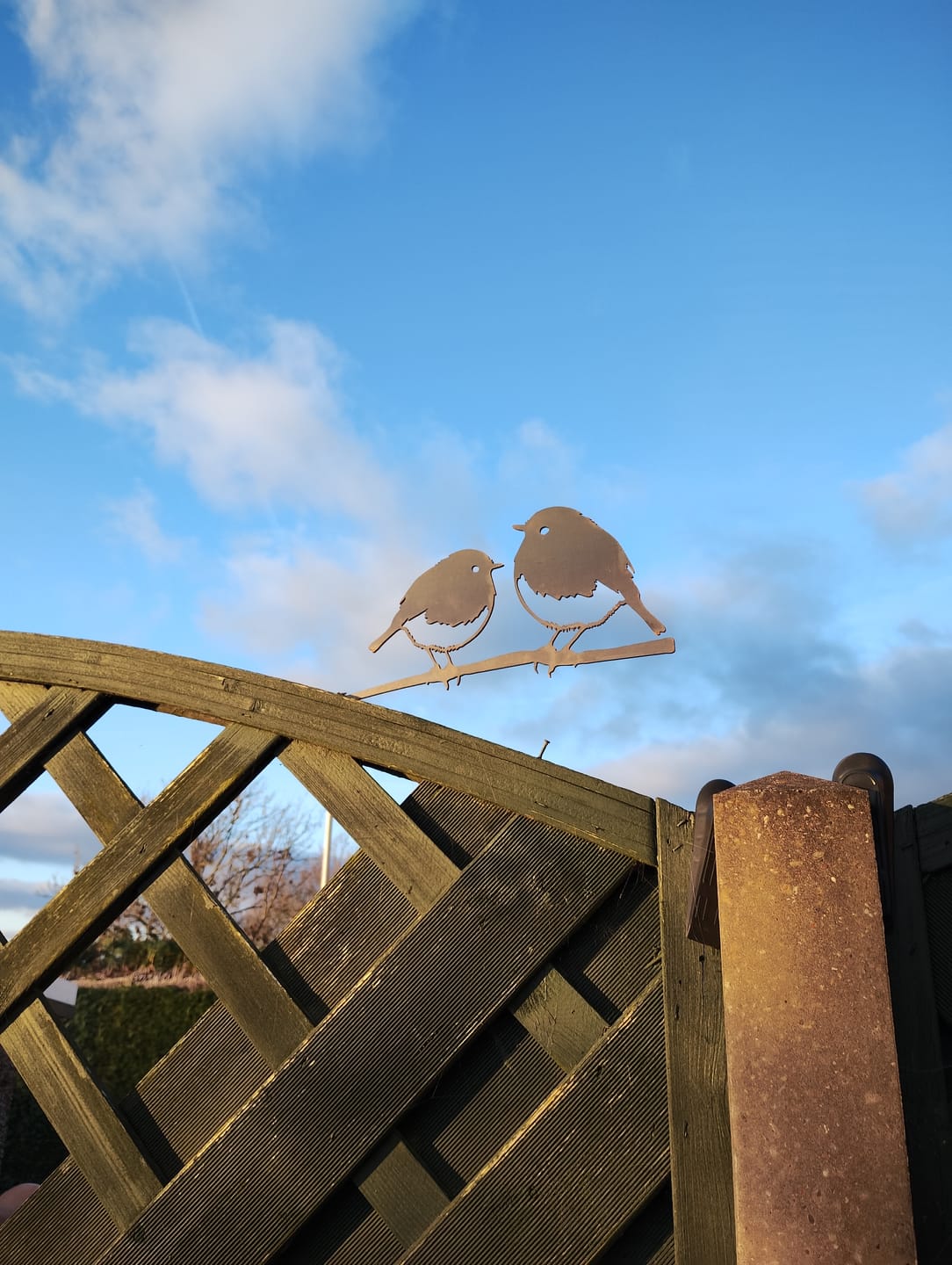 Customer photo review of Robin Pair