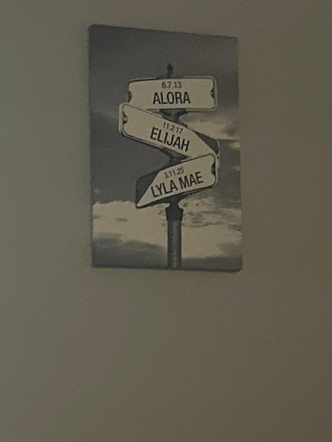Customer photo review of My Street Sign Custom Children Names Personalized Canvas Print