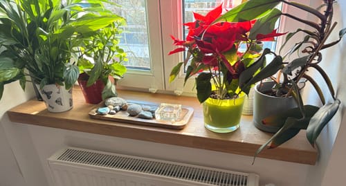 Customer photo review of Aufsatzfensterbank Eiche