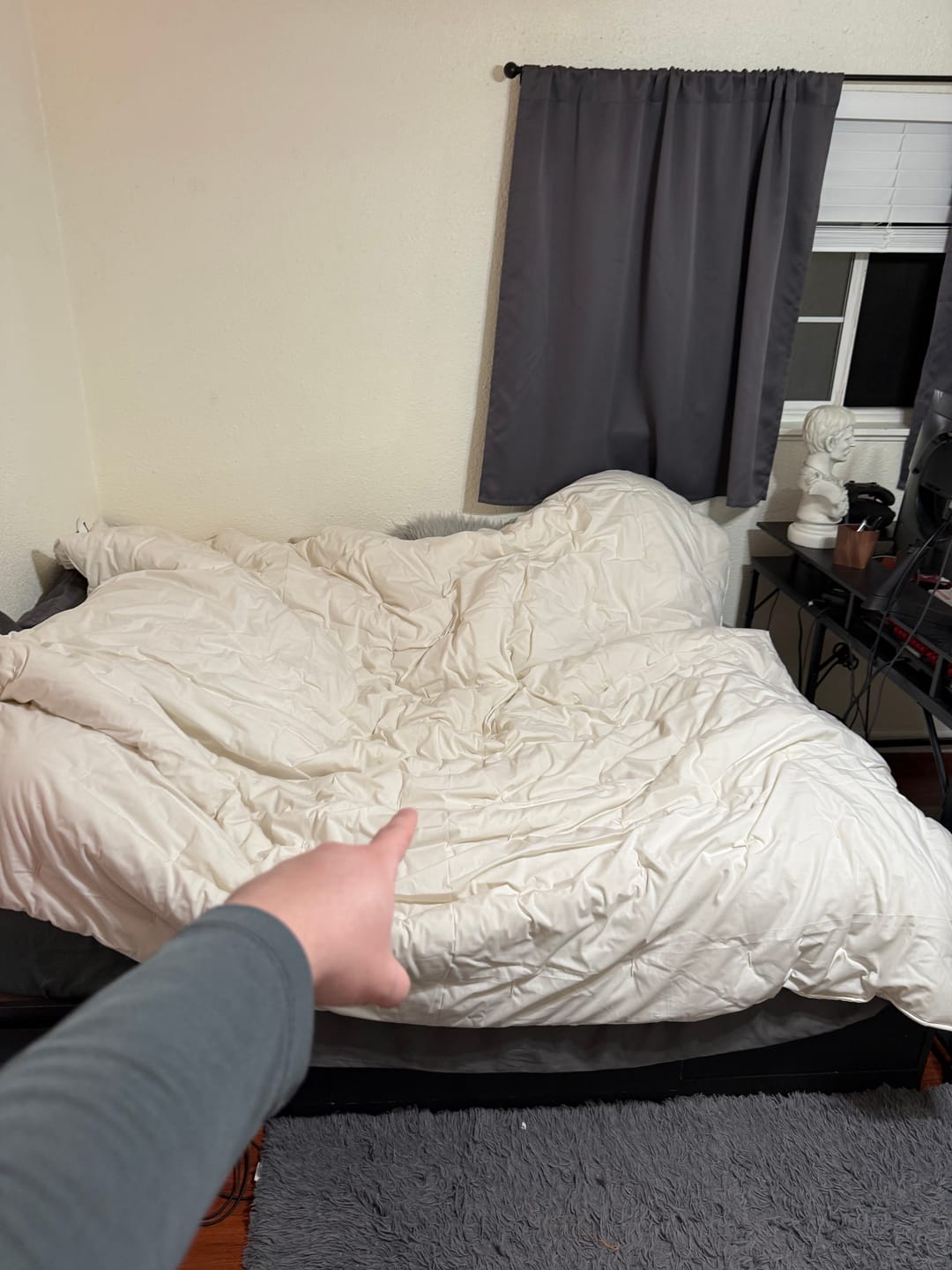 Customer photo review of Wool Comforter