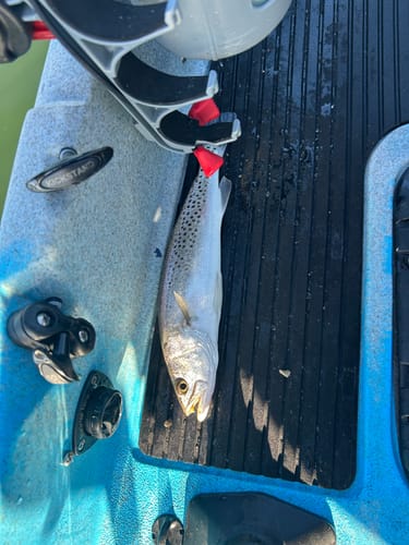 Customer photo review of Hobie Mirage Pro Angler 12 Pedal Fishing Kayak