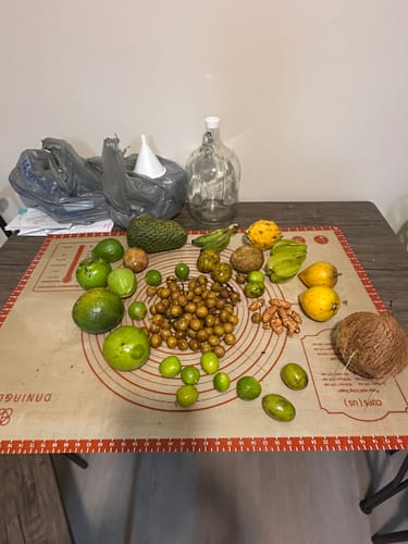 Customer photo review of Tropical Variety Box