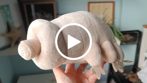 Customer video review of Tardigrade Water Bear Soft Stuffed Plush Toy