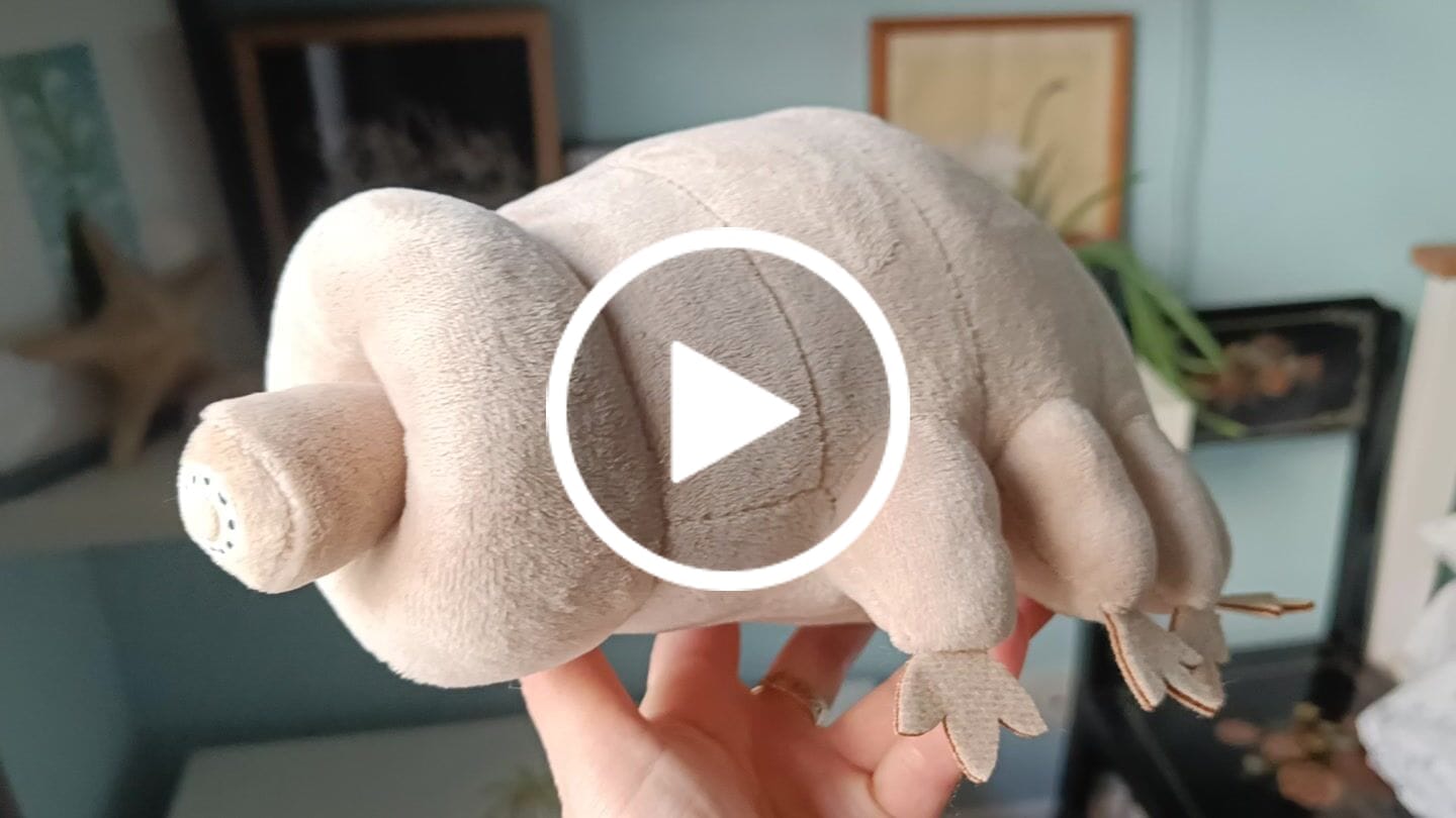 Customer video review of Tardigrade Water Bear Soft Stuffed Plush Toy