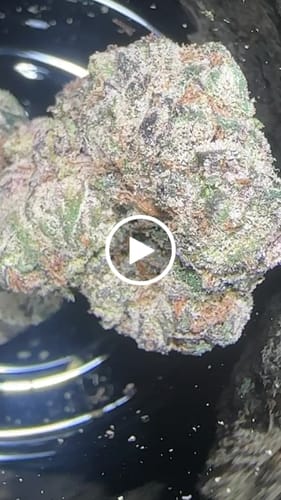 Customer video review of Pine Park Candy Kush Classic Flower