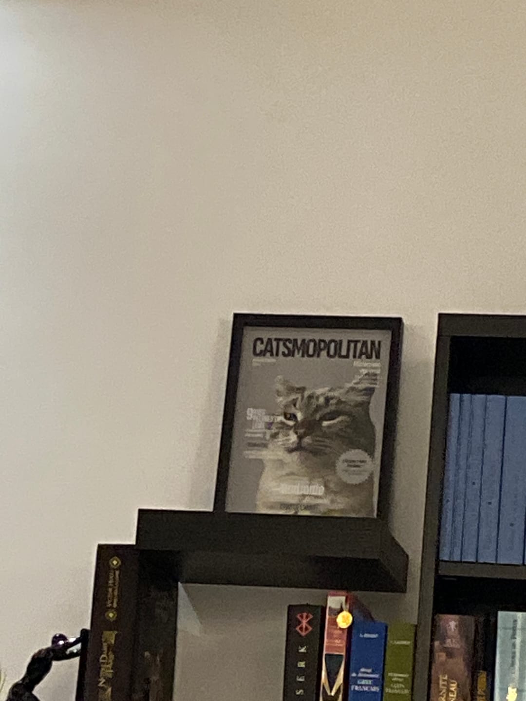 Customer photo review of Catsmopolitan - Poster personnalisé