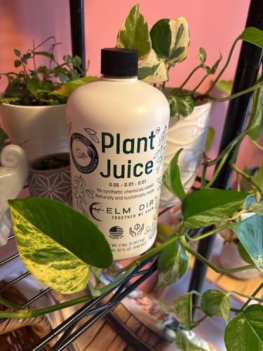 Customer photo review of Elm Dirt Gift Card