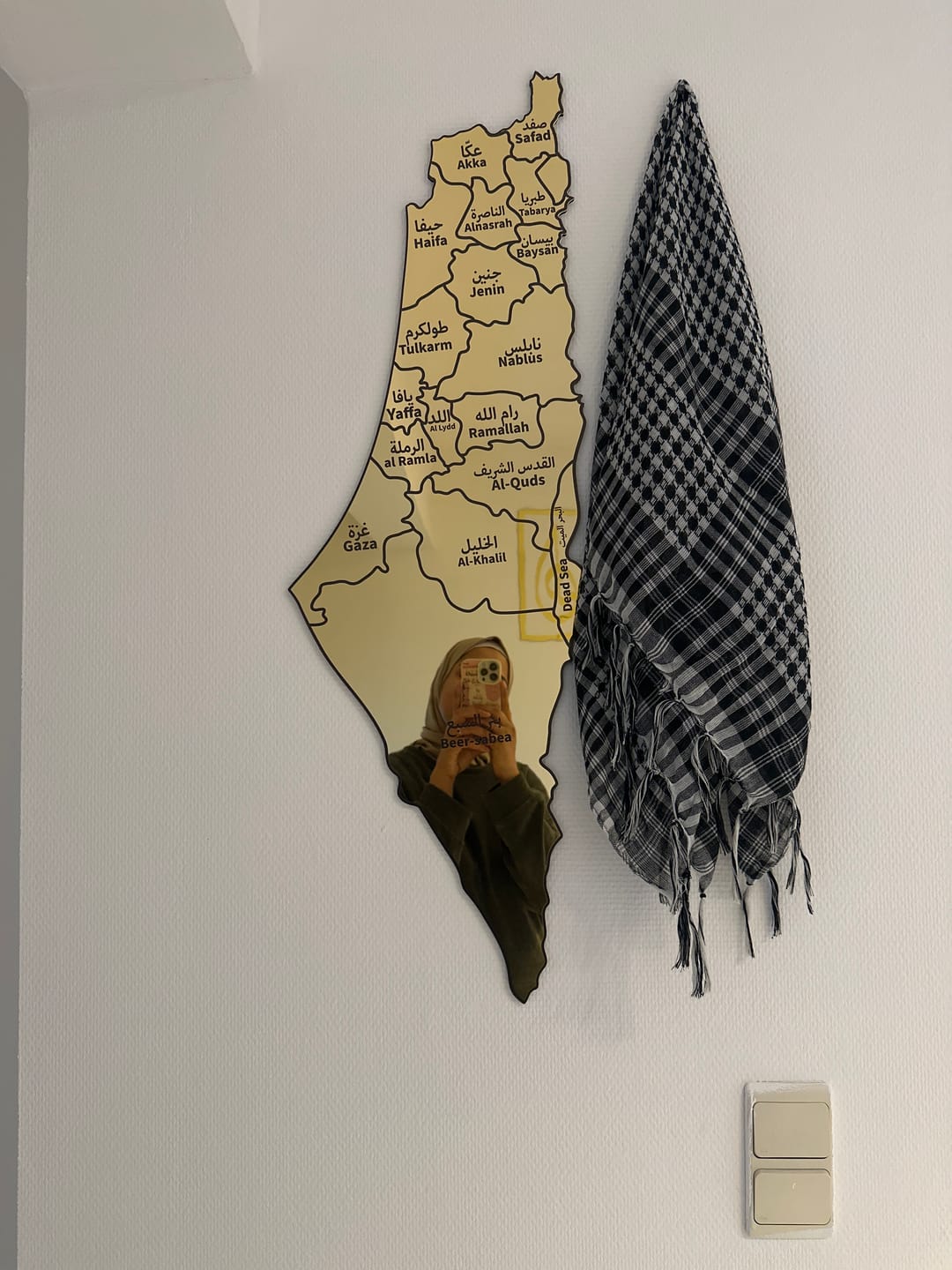 Customer photo review of Palestine Mirror Map Wall Decor - Wood/Plexy Acrylic Shiny Wall Art