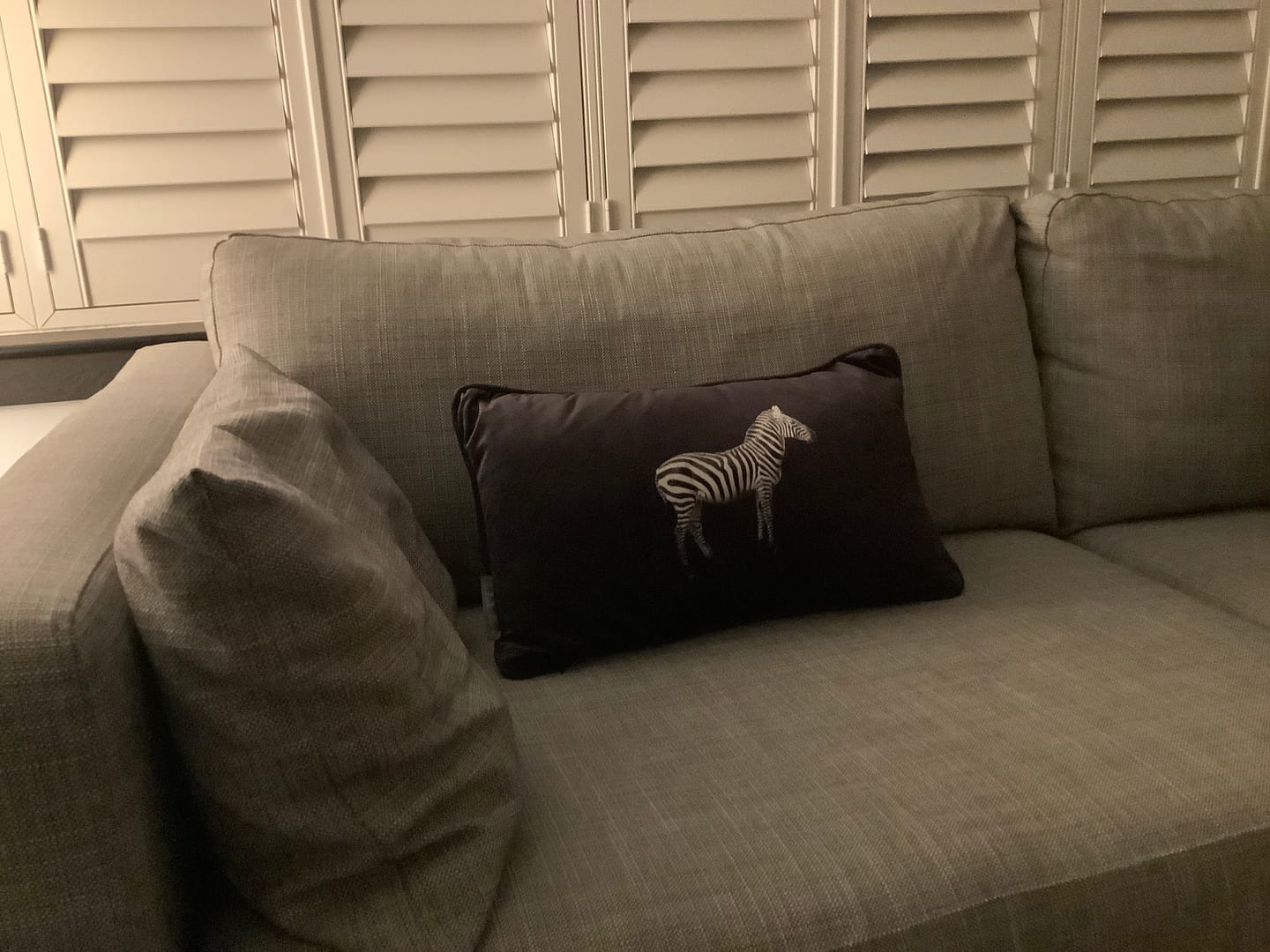 Customer photo review of Zebra | Sustainable Velvet Rectangle Cushion