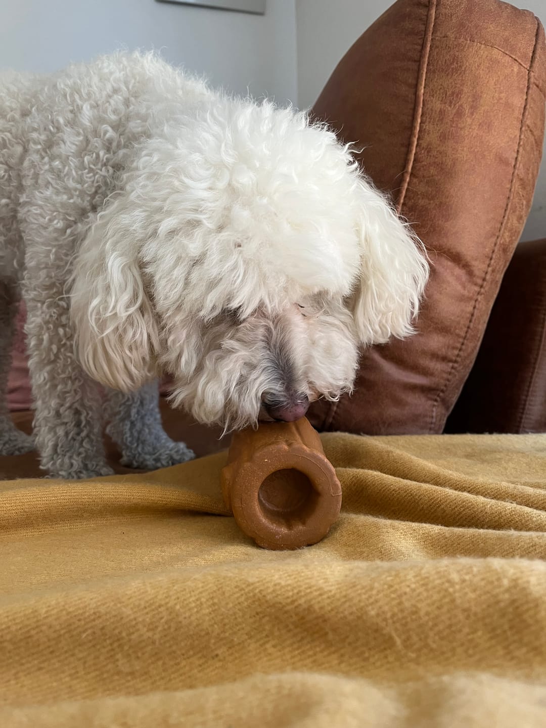 Customer photo review of Tronco Mágico THE DOGS — Calma con Snacks Congelados