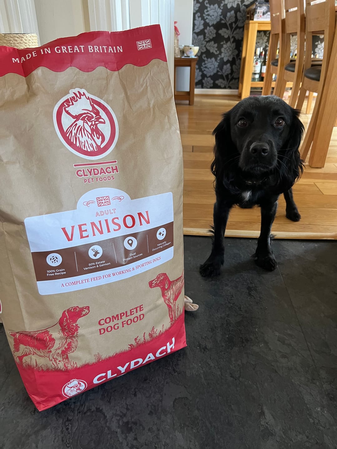 Customer photo review of British Venison Dry Food