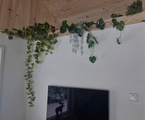 Customer photo review of Hedera Kunstslinger 2 150cm (Guirlande)