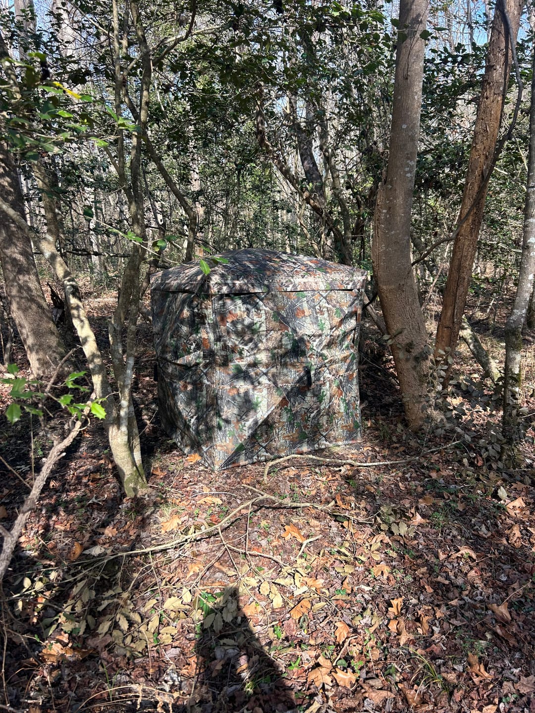 Customer photo review of 270° See Through 1-2 Person Hunting Blind, Pop Up Ground Deer Blind