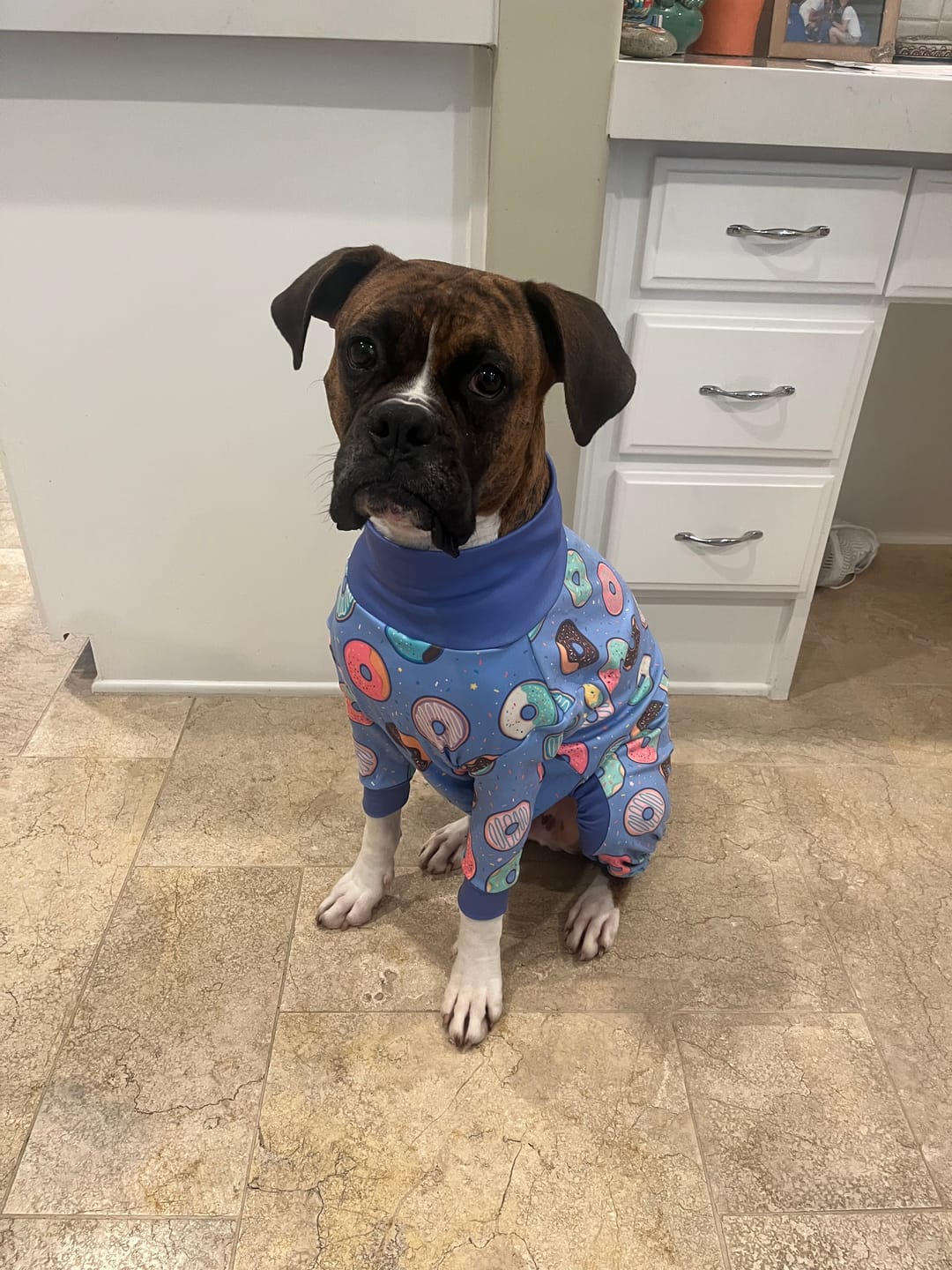 Customer photo review of Dog Pajama Prints