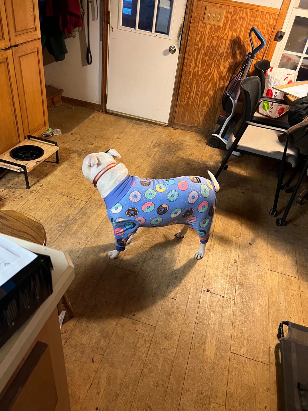 Customer photo review of Dog Pajama - Donuts