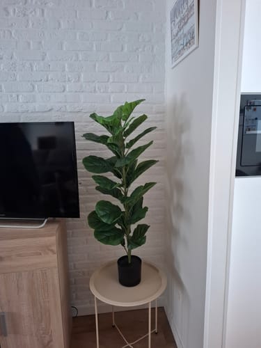 Customer photo review of Ficus Kunstplant 100cm