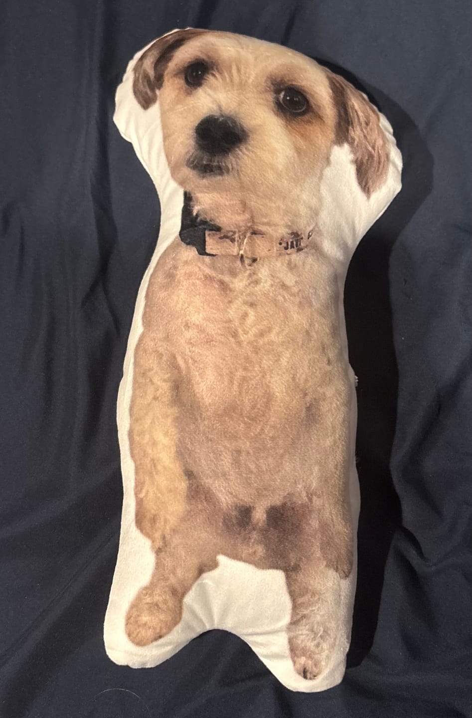 Customer photo review of Pet Pillow Looks Like Your Pet, Customize Dog Shaped Pillow with Pet Photo - ThePetPillow
